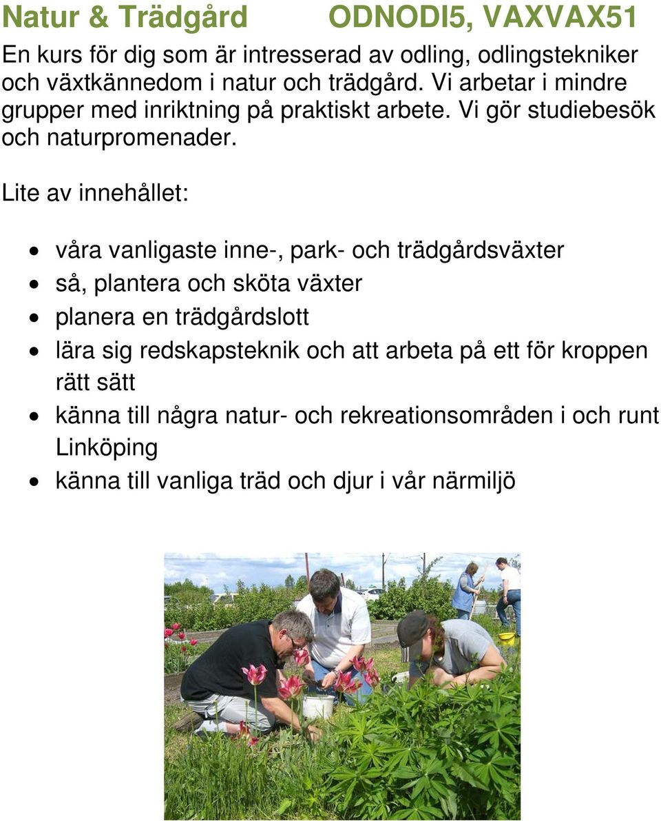 våra vanligaste inne-, park- och trädgårdsväxter så, plantera och sköta växter planera en trädgårdslott lära sig redskapsteknik och