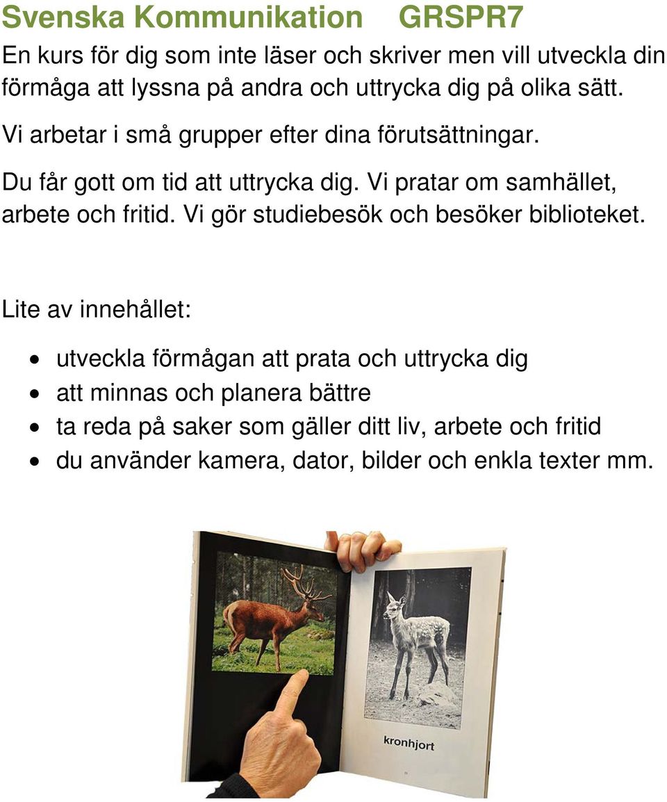 Vi pratar om samhället, arbete och fritid. Vi gör studiebesök och besöker biblioteket.