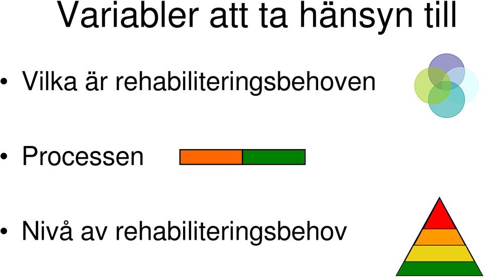 rehabiliteringsbehoven