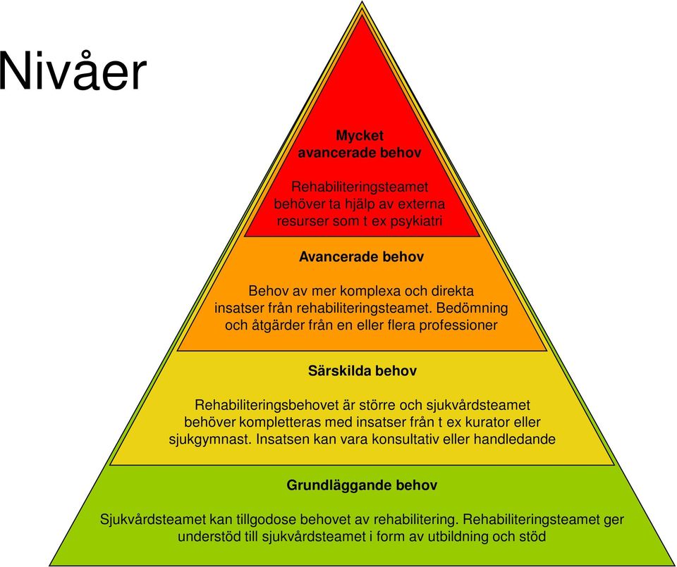 Bedömning och åtgärder från en eller flera professioner Särskilda behov Rehabiliteringsbehovet är större och sjukvårdsteamet behöver kompletteras med