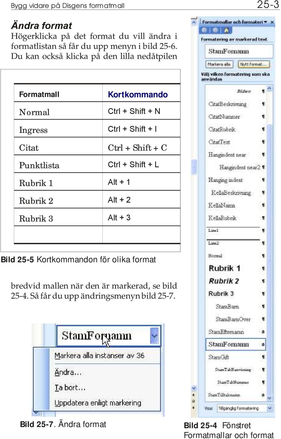 + Shift + C Ctrl + Shift + L Rubrik 1 Alt + 1 Rubrik 2 Alt + 2 Rubrik 3 Alt + 3 Bild 25-5 Kortkommandon för olika format bredvid mallen