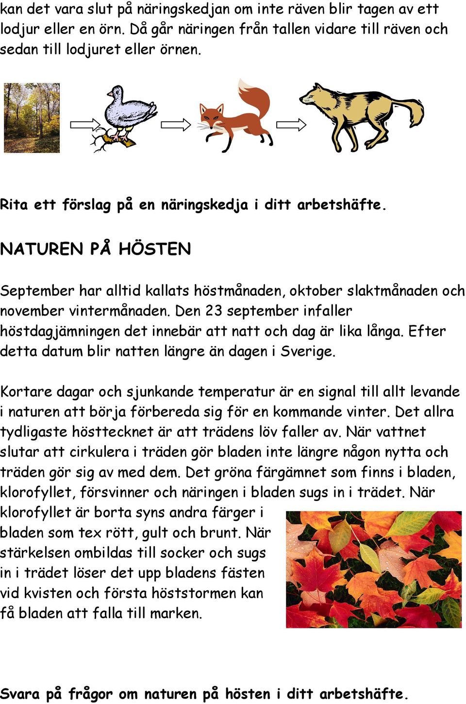 Den 23 september infaller höstdagjämningen det innebär att natt och dag är lika långa. Efter detta datum blir natten längre än dagen i Sverige.