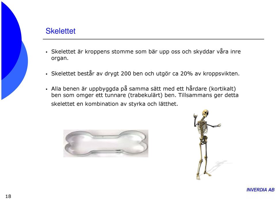 Alla benen är uppbyggda på samma sätt med ett hårdare (kortikalt) ben som omger ett