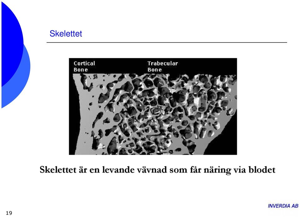 vävnad v vnad som