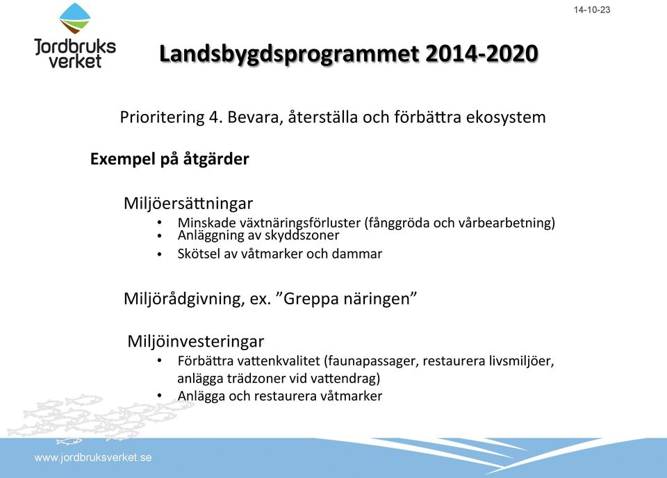 växtnäringsförluster (fånggröda och vårbearbetning) Anläggning av skyddszoner Skötsel av våtmarker och