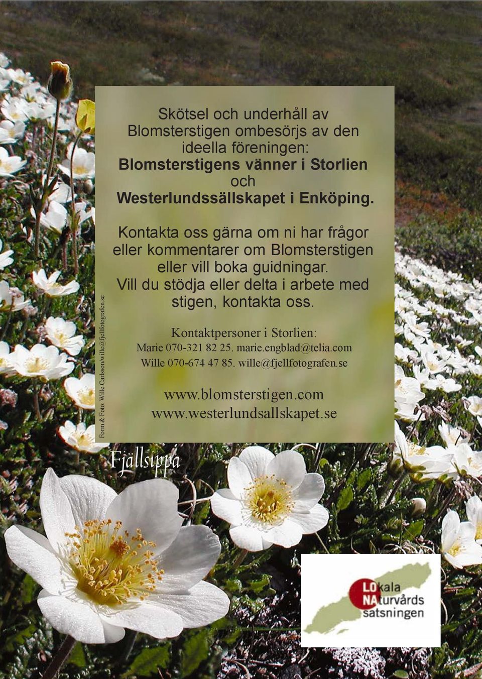 Westerlundssällskapet i Enköping. Kontakta oss gärna om ni har frågor eller kommentarer om Blomsterstigen eller vill boka guidningar.