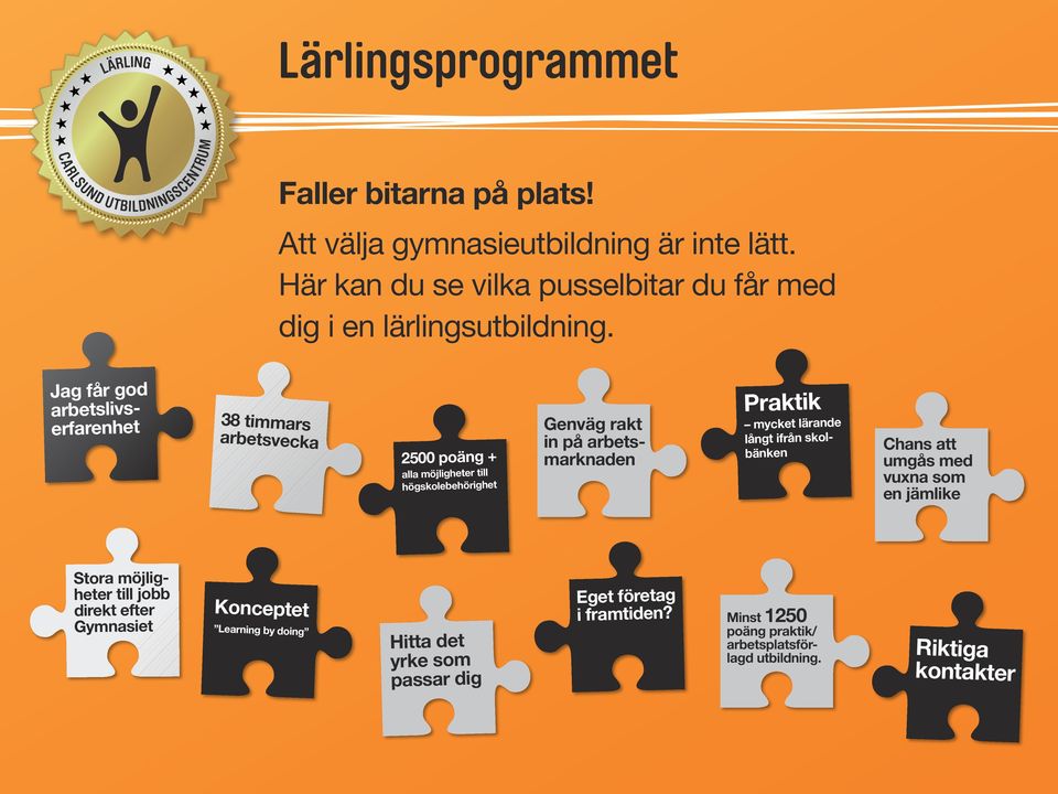 Praktik mycket lärande långt ifrån skolbänken Chans att umgås med vuxna som en jämlike Stora möjligheter till jobb direkt efter Gymnasiet