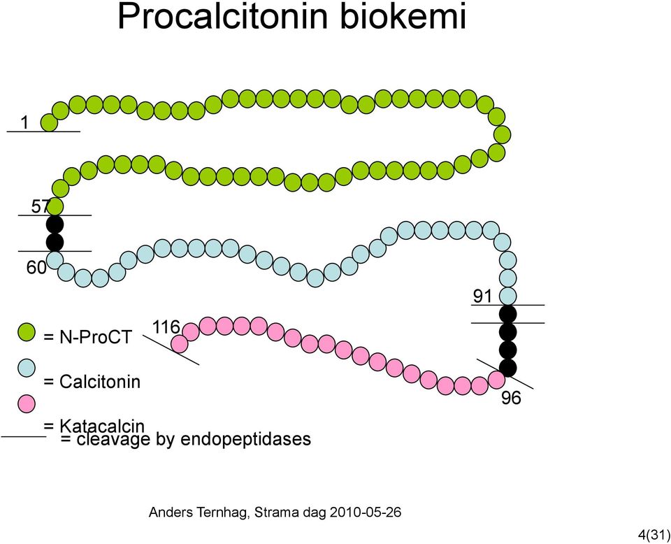 Calcitonin = Katacalcin =