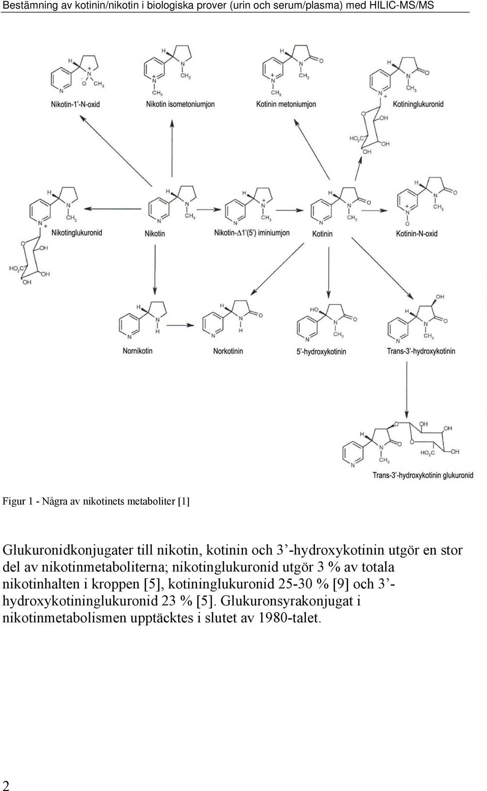 nikotinmetaboliterna; nikotinglukuronid utgör 3 % av totala nikotinhalten i kroppen [5], kotininglukuronid 25-30 %