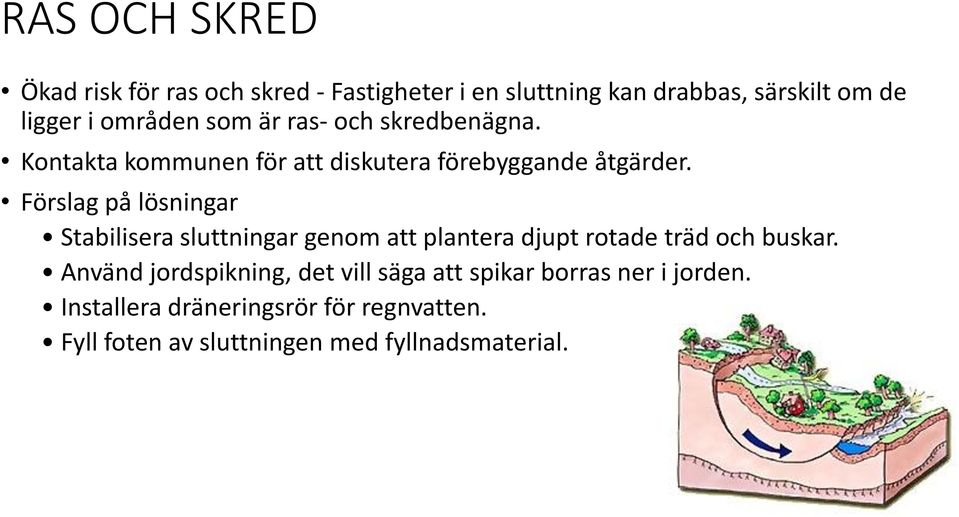 Förslag på lösningar Stabilisera sluttningar genom att plantera djupt rotade träd och buskar.