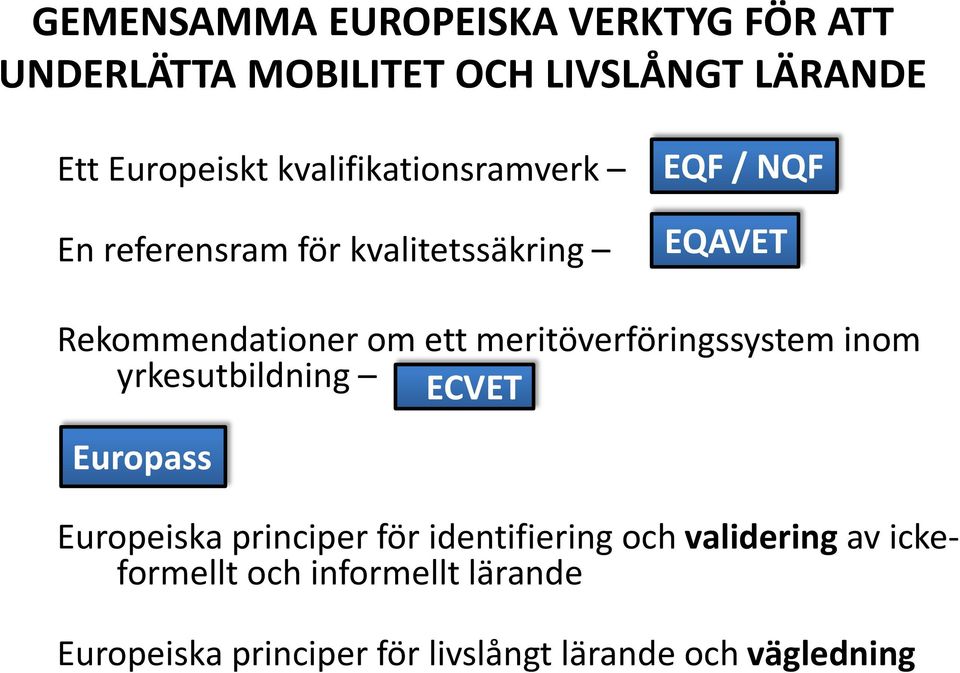 meritöverföringssystem inom yrkesutbildning ECVET Europass Europeiska principer för identifiering