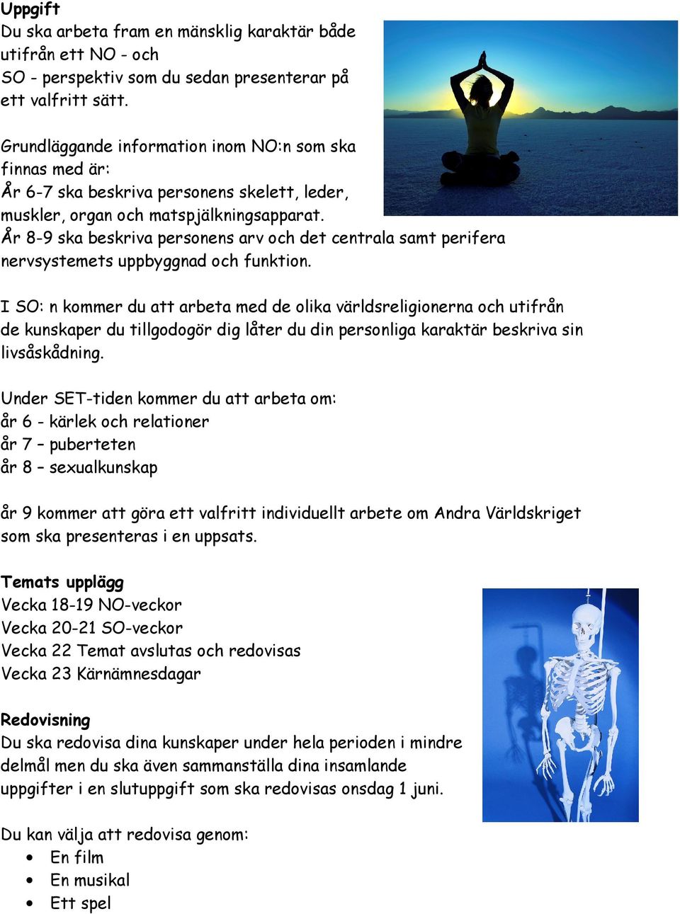 År 8-9 ska beskriva personens arv och det centrala samt perifera nervsystemets uppbyggnad och funktion.