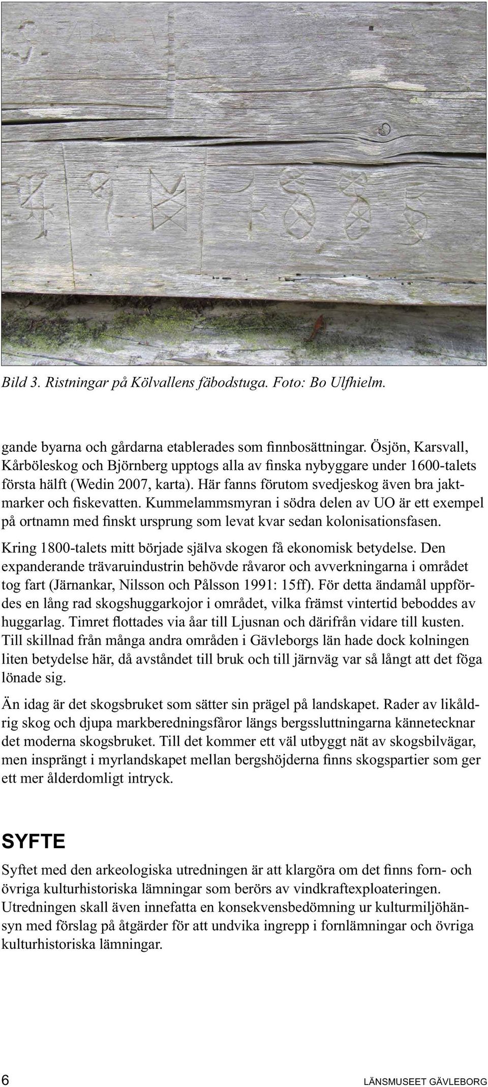 Den expanderande trävaruindustrin behövde råvaror och avverkningarna i området tog fart (Järnankar, Nilsson och Pålsson 1991: 15ff).