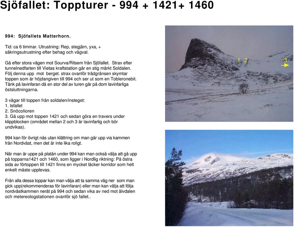 strax ovanför trädgränsen skymtar toppen som är höjdangiven till 994 och ser ut som en Tobleronebit. Tänk på lavinfaran då en stor del av turen går på dom lavinfarliga östsluttningarna.