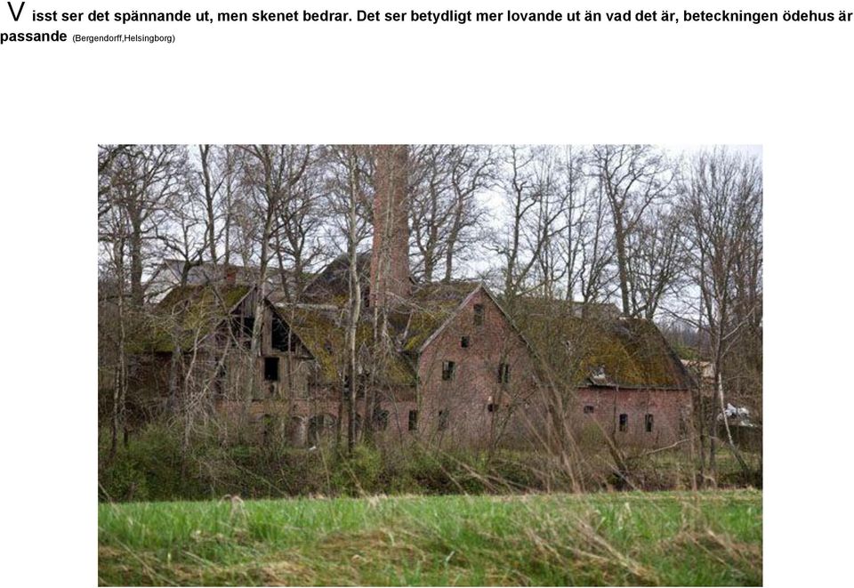 Det ser betydligt mer lovande ut än