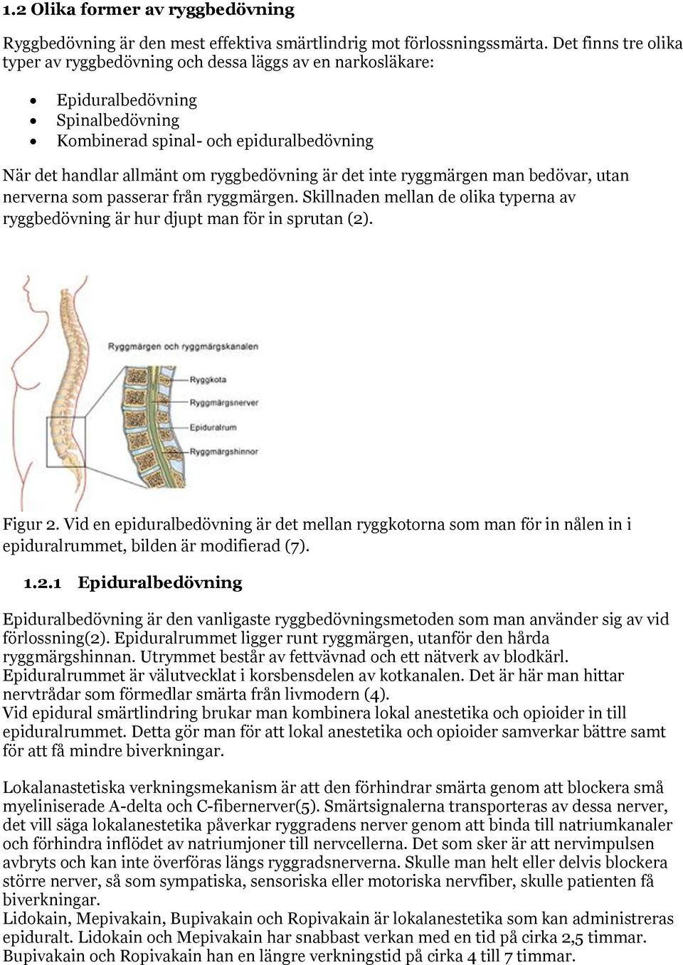 det inte ryggmärgen man bedövar, utan nerverna som passerar från ryggmärgen. Skillnaden mellan de olika typerna av ryggbedövning är hur djupt man för in sprutan (2). Figur 2.