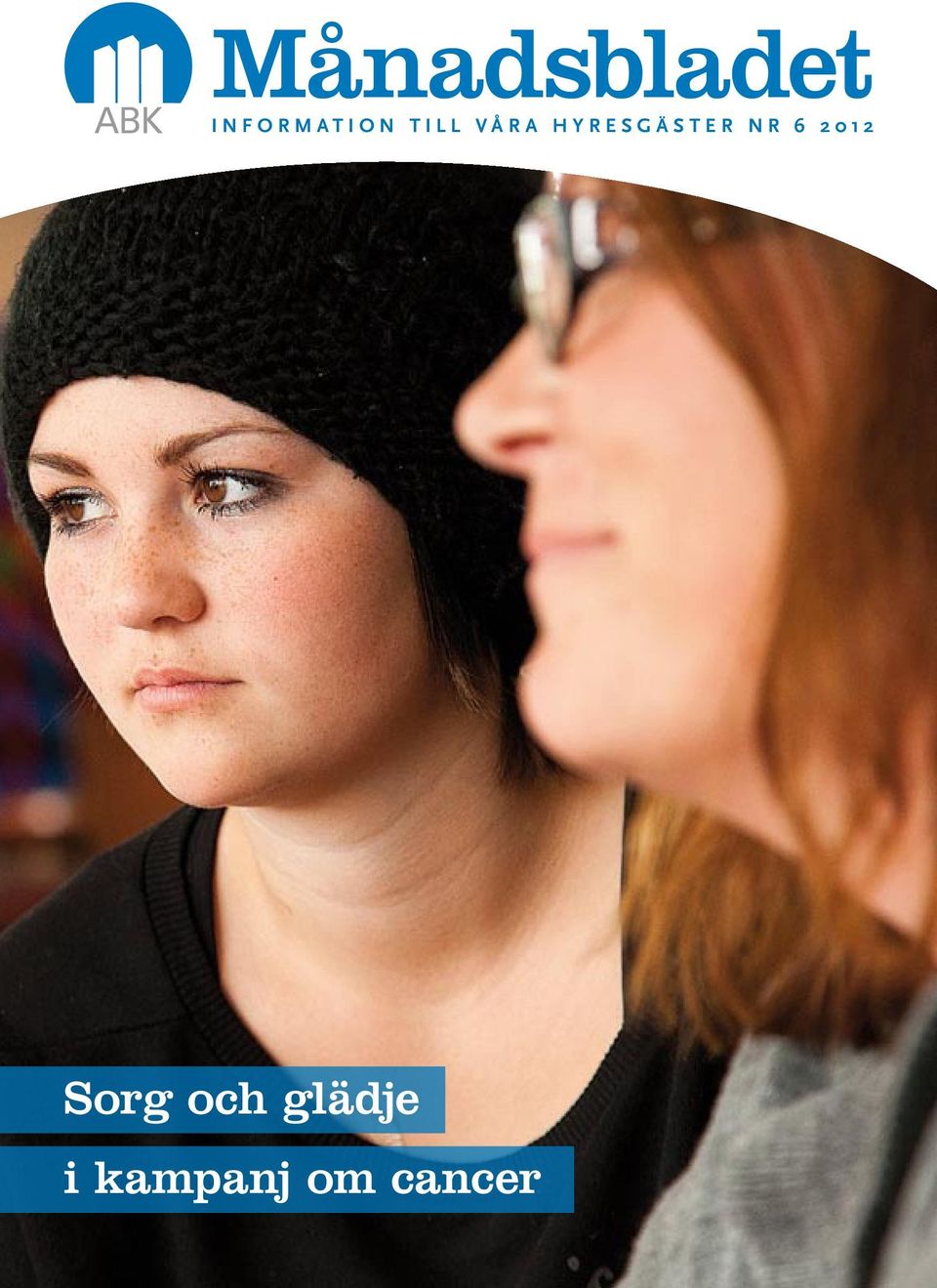 6 2012 Sorg och glädje i