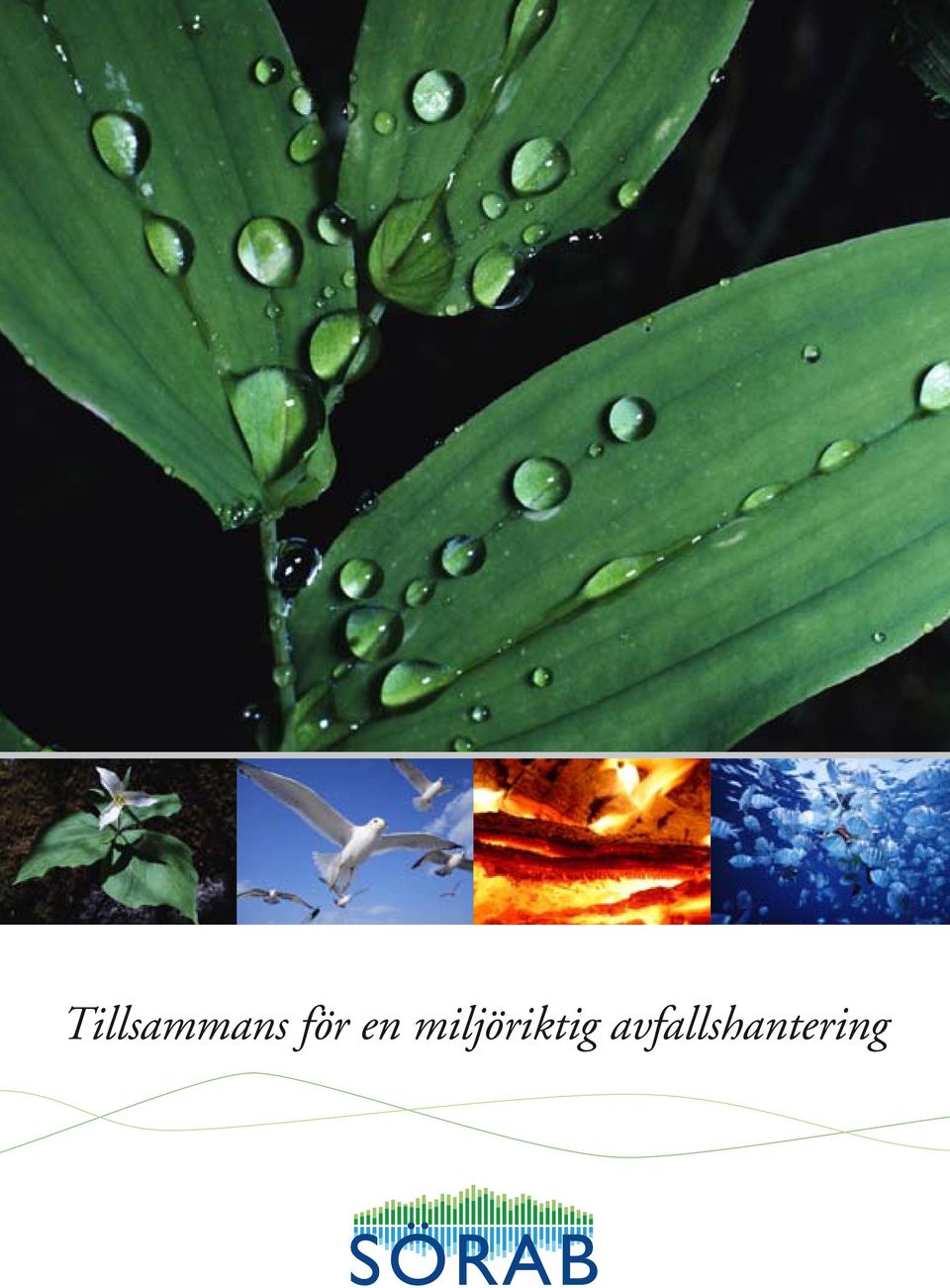 miljöriktig