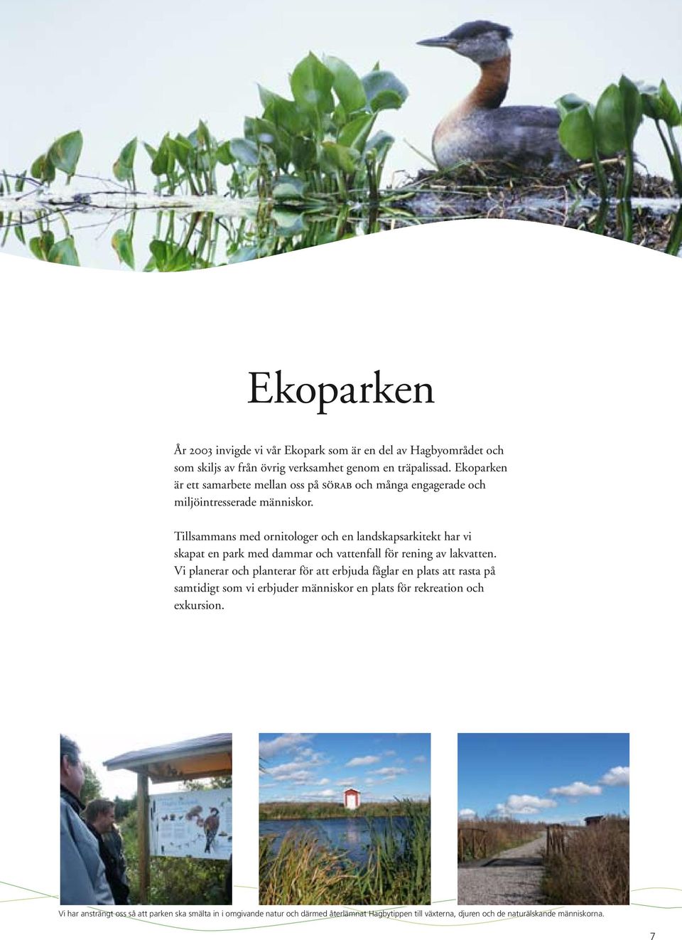Tillsammans med ornitologer och en landskapsarkitekt har vi skapat en park med dammar och vattenfall för rening av lakvatten.