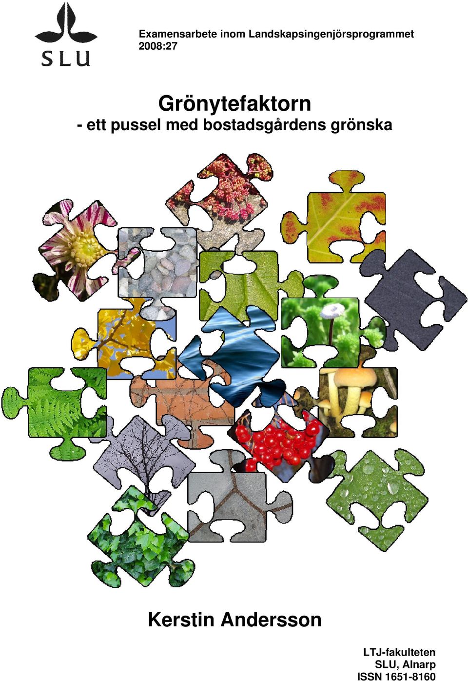 Grönytefaktorn - ett pussel med