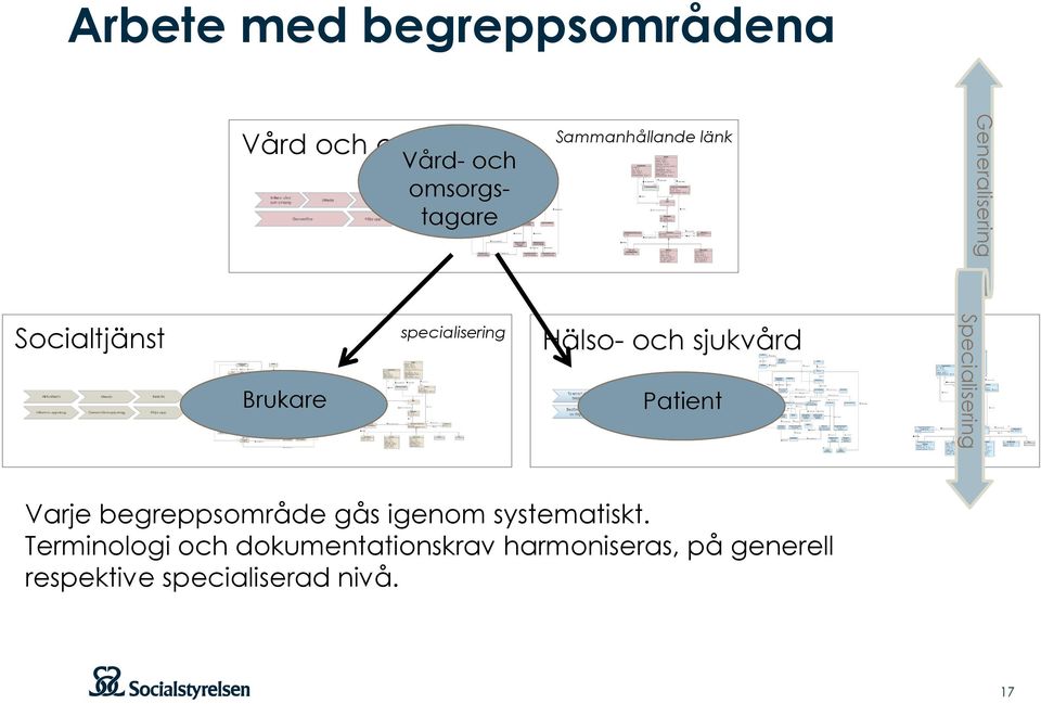 och sjukvård Patient Specialisering Varje begreppsområde gås igenom systematiskt.