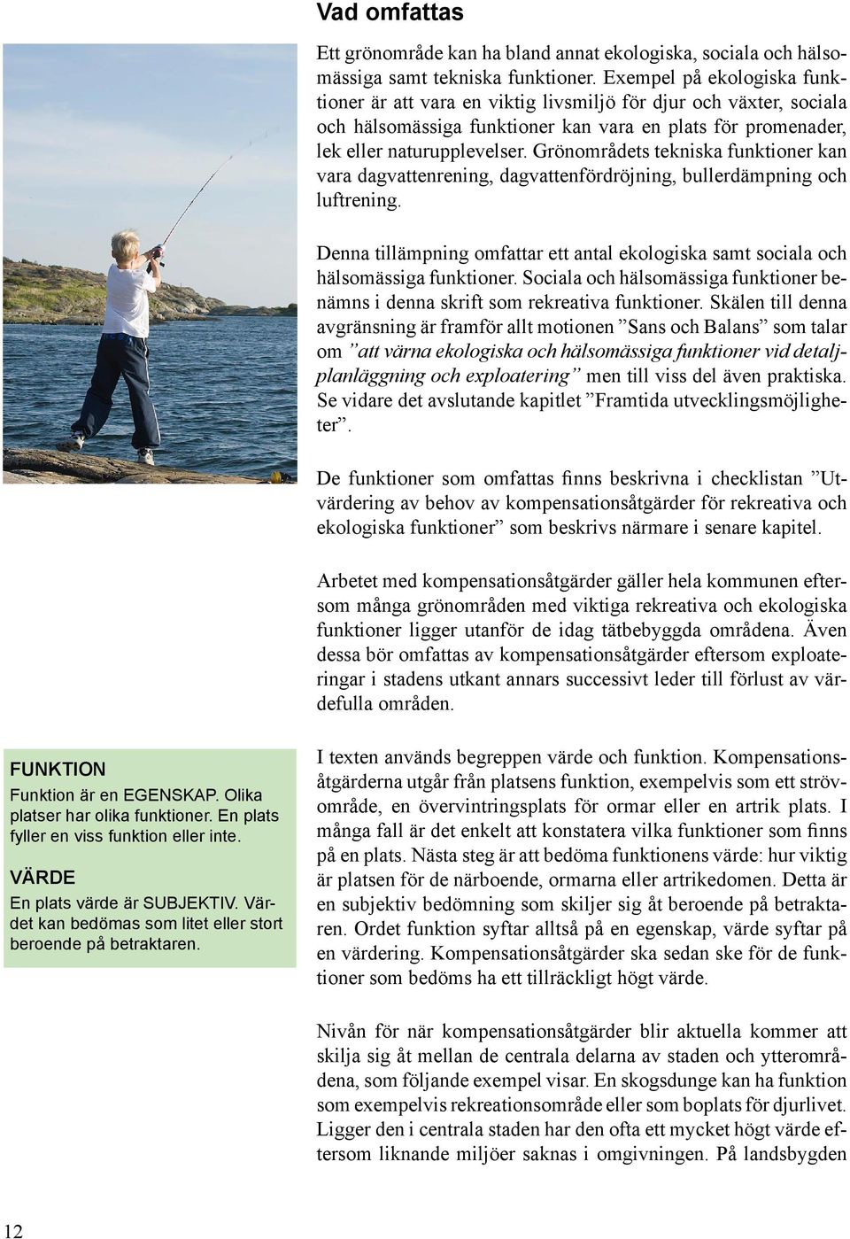 Grönområdets tekniska funktioner kan vara dagvattenrening, dagvattenfördröjning, bullerdämpning och luftrening.