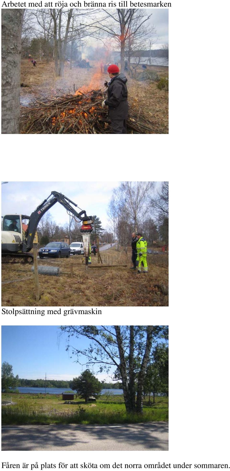 grävmaskin Fåren är på plats för att
