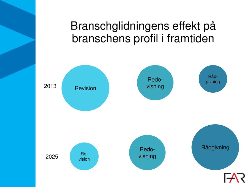 2013 Revision Redovisning