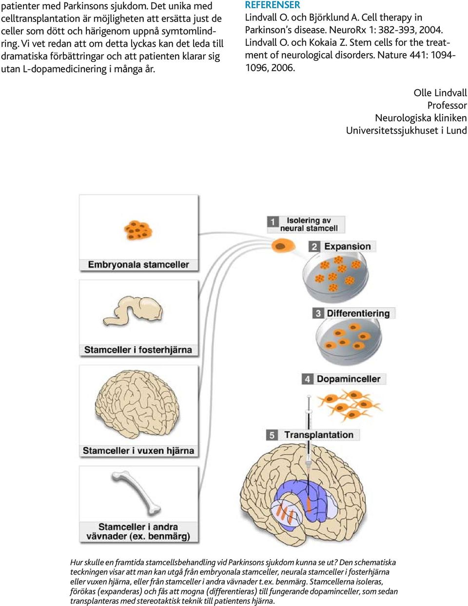 Cell therapy in Parkinson s disease. NeuroRx 1: 382-393, 2004. Lindvall O. och Kokaia Z. Stem cells for the treatment of neurological disorders. Nature 441: 1094-1096, 2006.