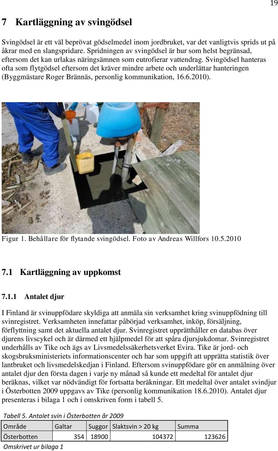 Svingödsel hanteras ofta som flytgödsel eftersom det kräver mindre arbete och underlättar hanteringen (Byggmästare Roger Brännäs, personlig kommunikation, 16.6.2010). Figur 1.