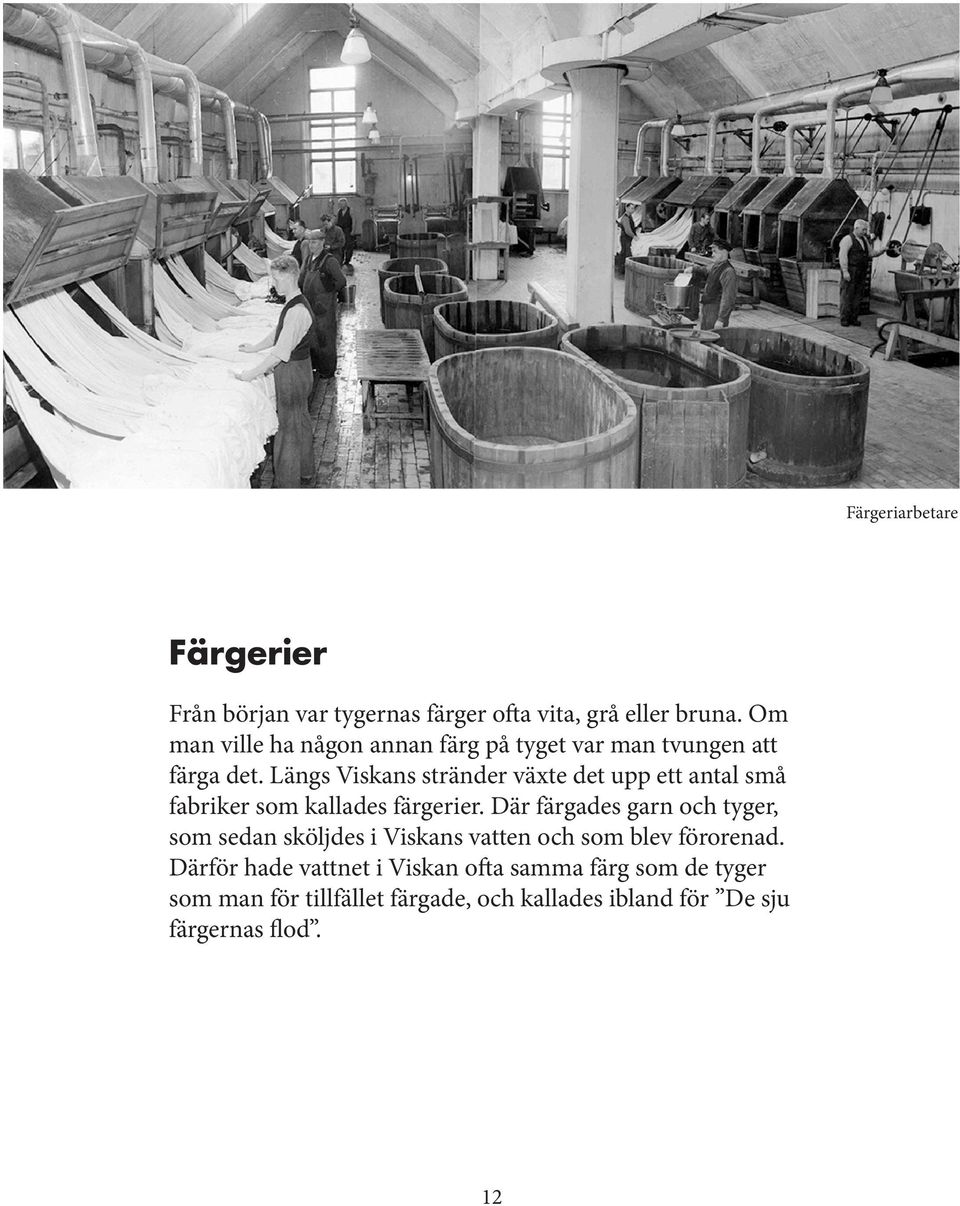 Längs Viskans stränder växte det upp ett antal små fabriker som kallades färgerier.