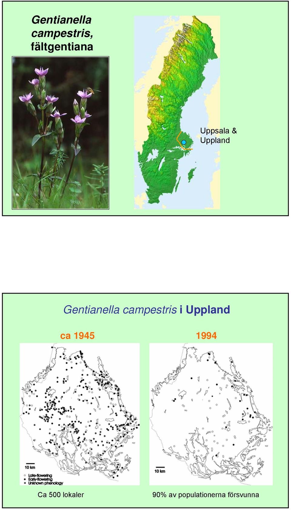 campestris i Uppland ca 1945 1994 Ca