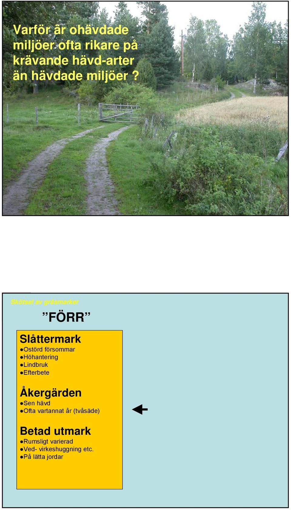 Skötsel av gräsmarker FÖRR Slåttermark Ostörd försommar Höhantering