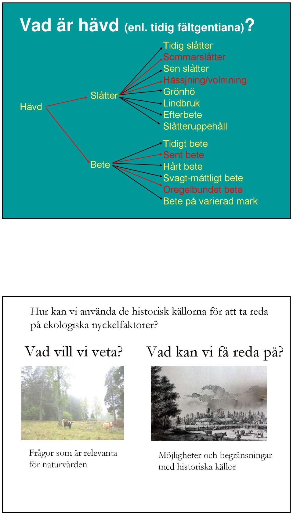 Slåtteruppehåll Tidigt bete Sent bete Hårt bete Svagt-måttligt bete Oregelbundet bete Bete på varierad mark Hur kan