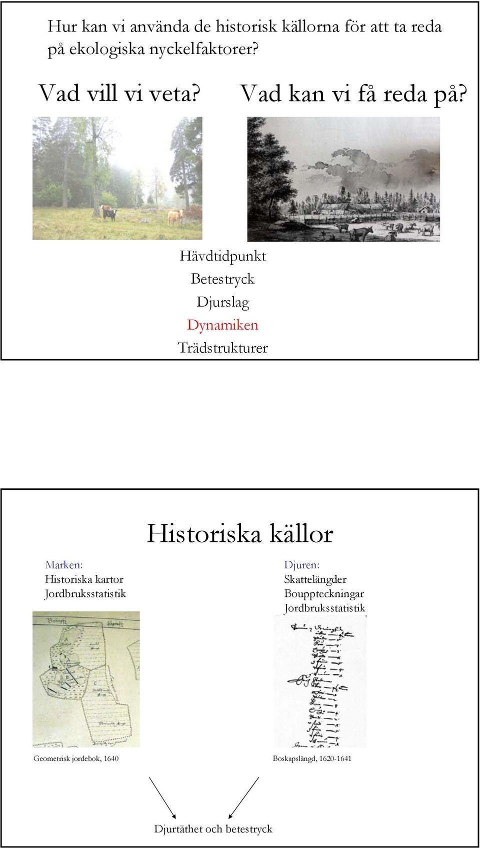 Hävdtidpunkt Betestryck Djurslag Dynamiken Trädstrukturer Marken: Historiska kartor