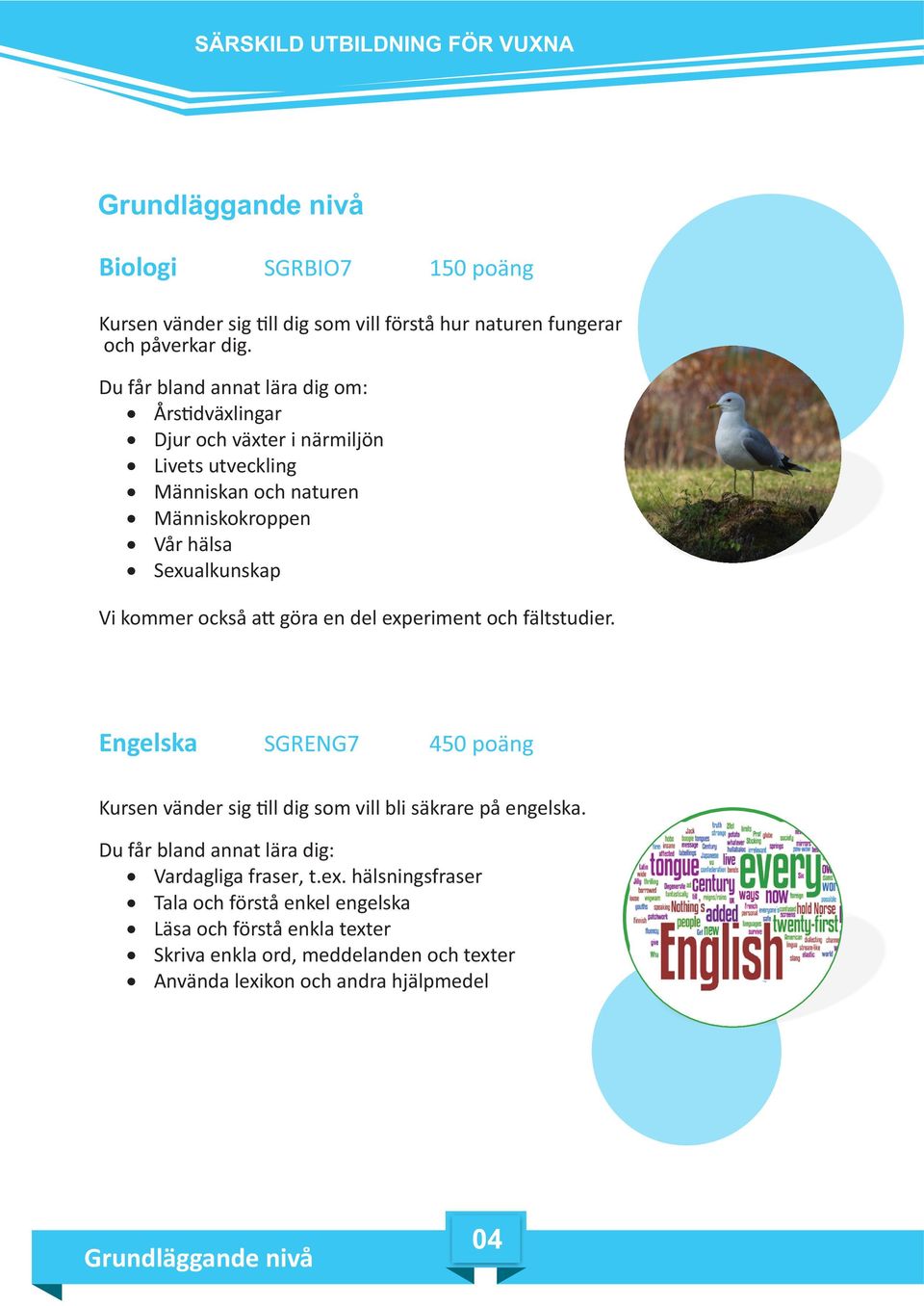 Sexualkunskap Vi kommer också a göra en del experiment och fältstudier.