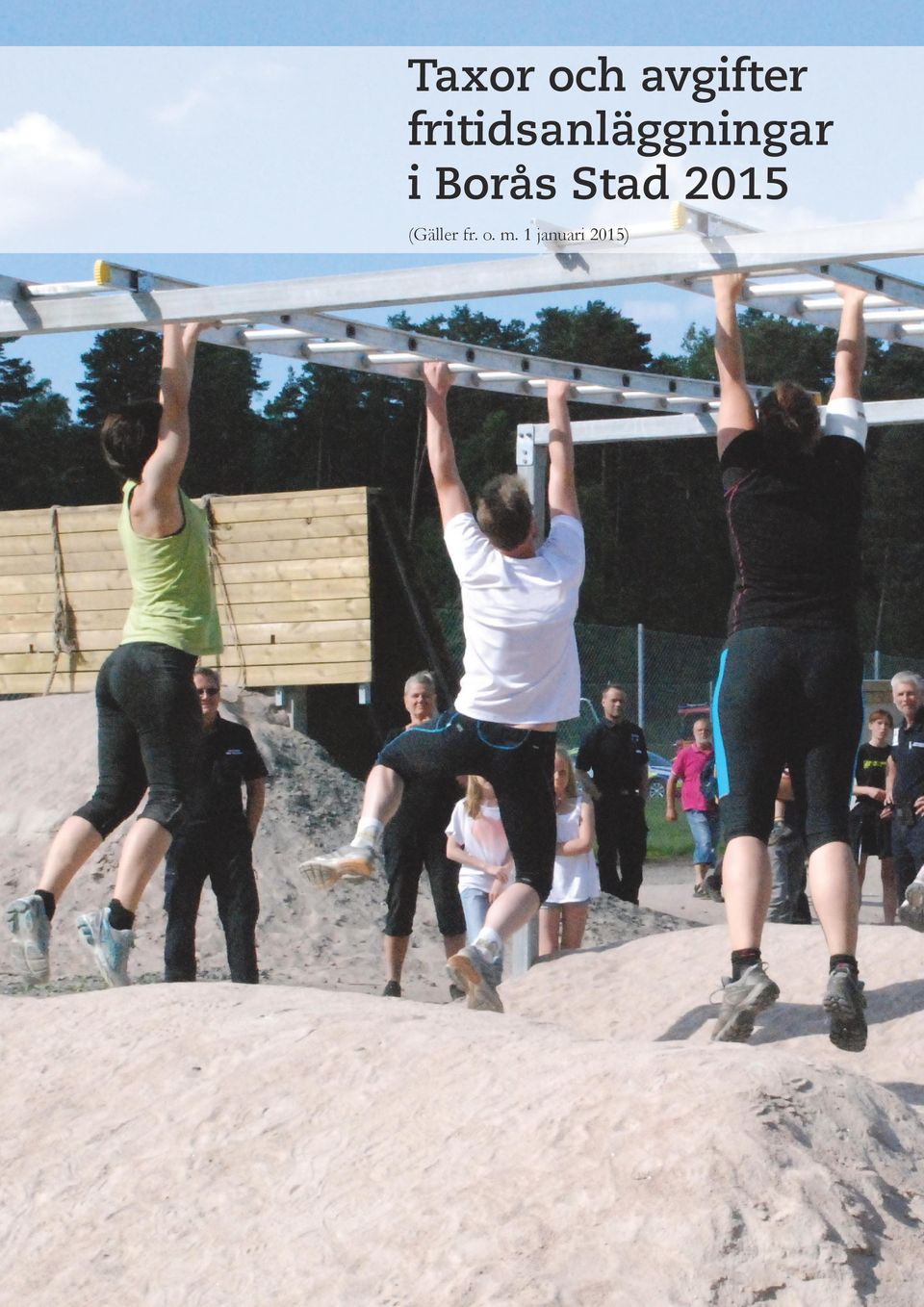 Borås Stad 2015