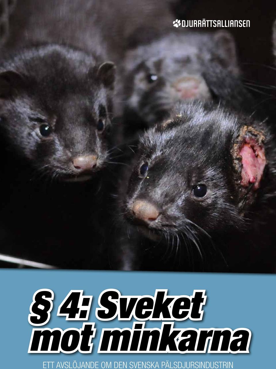 SVENSKA