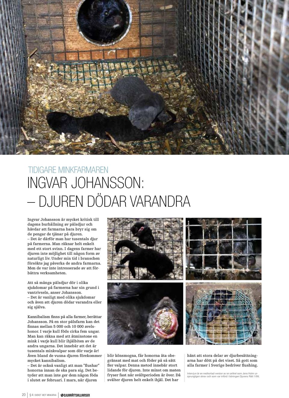 Under min tid i branschen försökte jag påverka de andra farmarna. Men de var inte intresserade av att förbättra verksamheten.