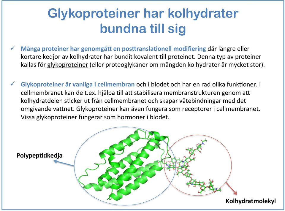 ü Glykoproteiner är vanliga i cellmembran och i blodet och har en rad olika funk7oner. I cellmembranet kan de t.ex.