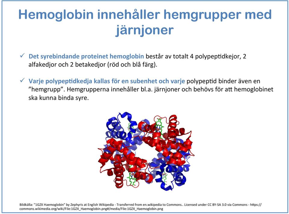 a. järnjoner och behövs för a6 hemoglobinet ska kunna binda syre. Bildkälla: "1GZX Haemoglobin" by Zephyris at English Wikipedia - Transferred from en.