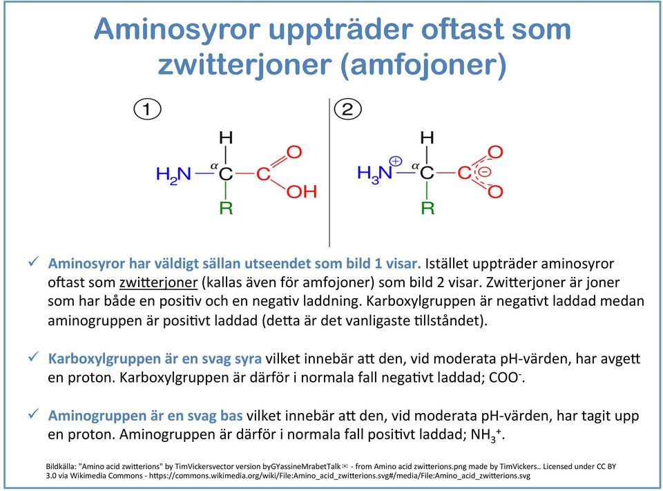 Karboxylgruppen är nega7vt laddad medan aminogruppen är posi7vt laddad (de6a är det vanligaste 7llståndet).