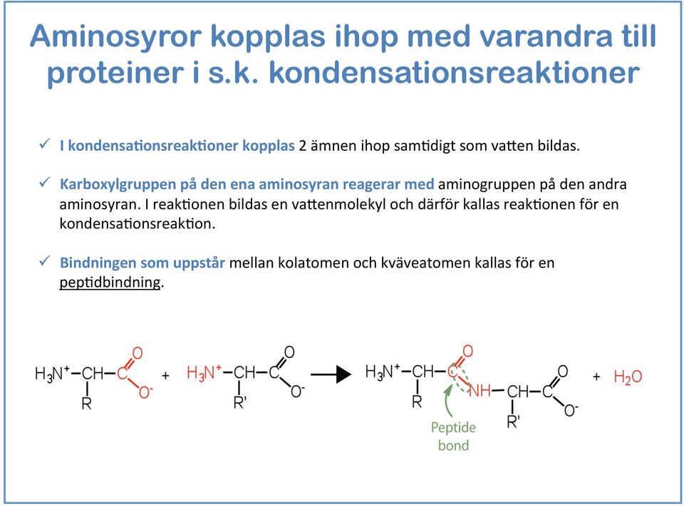 kondensationsreaktioner ü I kondensa5onsreak5oner kopplas 2 ämnen ihop sam7digt som va6en bildas.