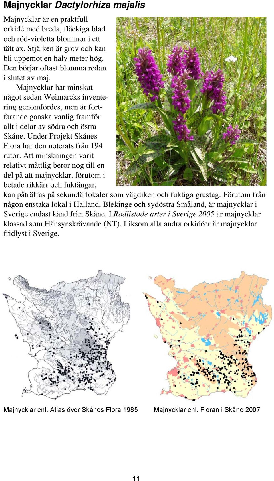 Under Projekt Skånes Flora har den noterats från 194 rutor.