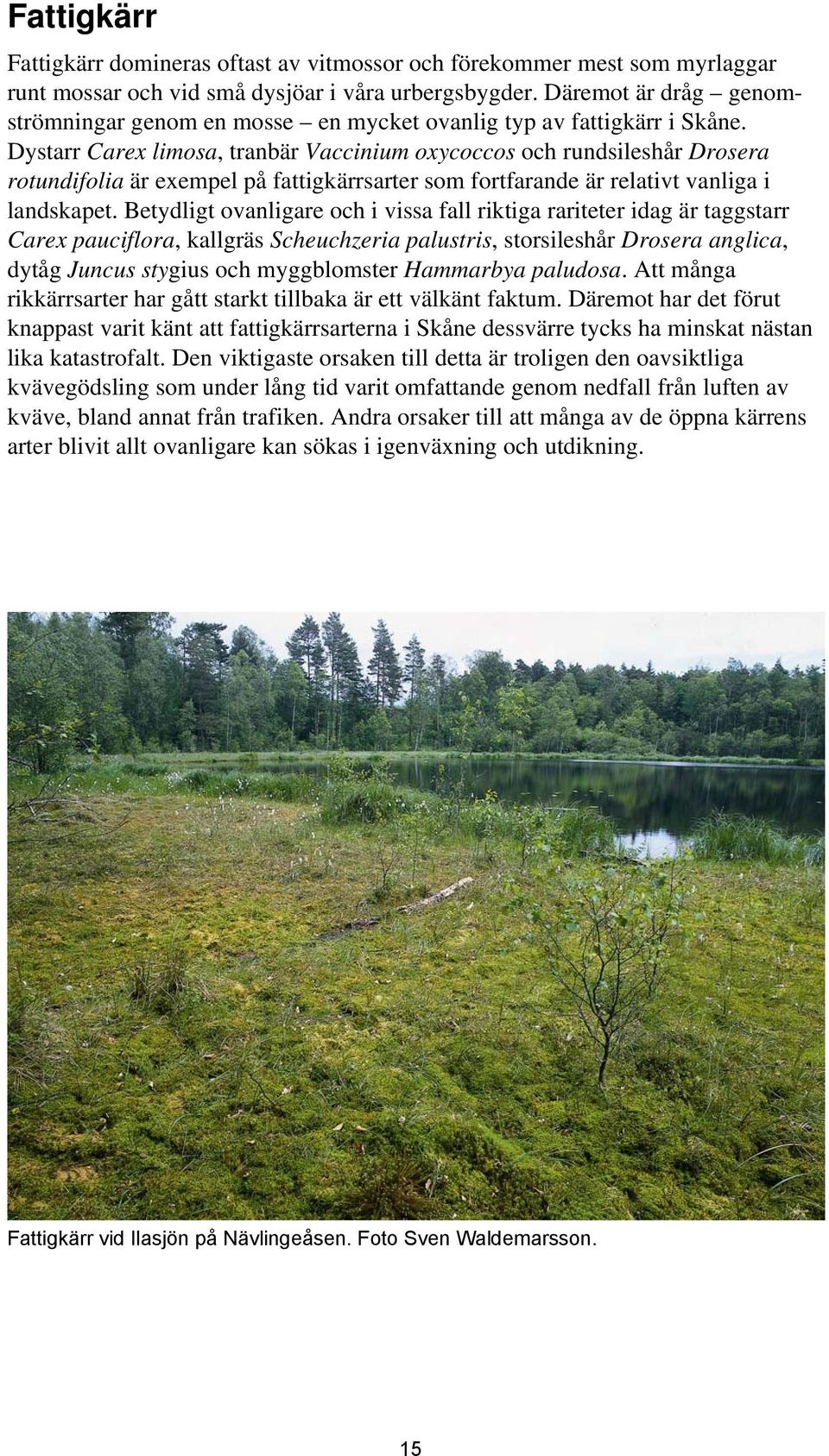 Dystarr Carex limosa, tranbär Vaccinium oxycoccos och rundsileshår Drosera rotundifolia är exempel på fattigkärrsarter som fortfarande är relativt vanliga i landskapet.