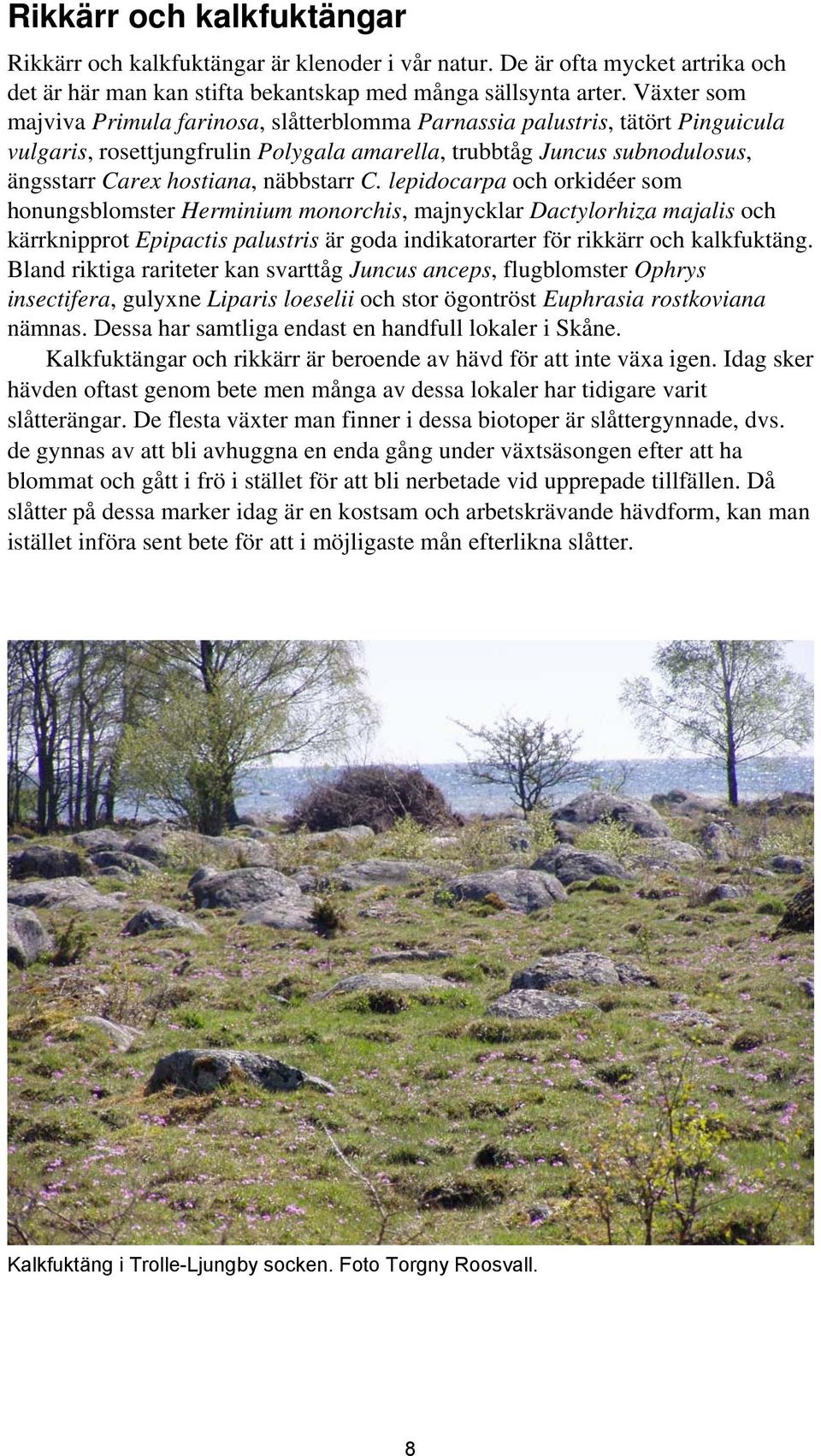 näbbstarr C. lepidocarpa och orkidéer som honungsblomster Herminium monorchis, majnycklar Dactylorhiza majalis och kärrknipprot Epipactis palustris är goda indikatorarter för rikkärr och kalkfuktäng.