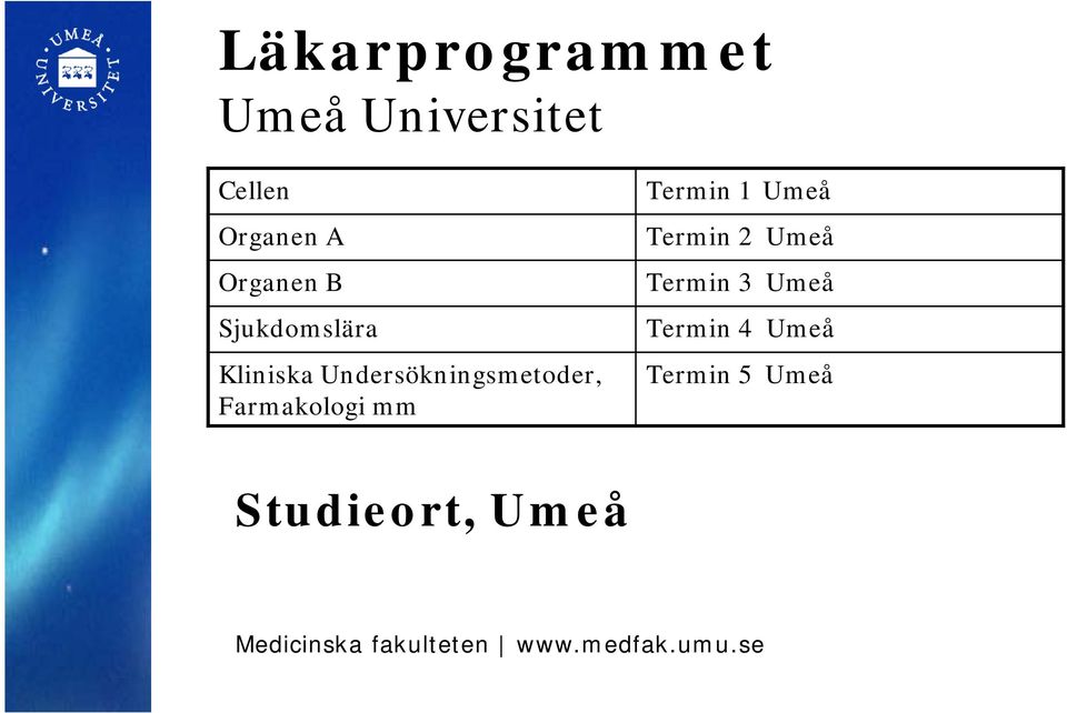 mm Termin 1 Umeå Termin 2 Umeå Termin 3