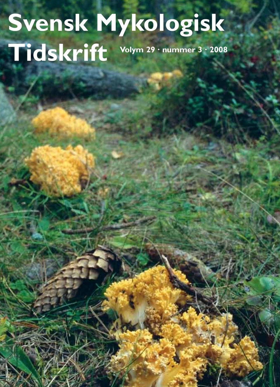 Tidskrift