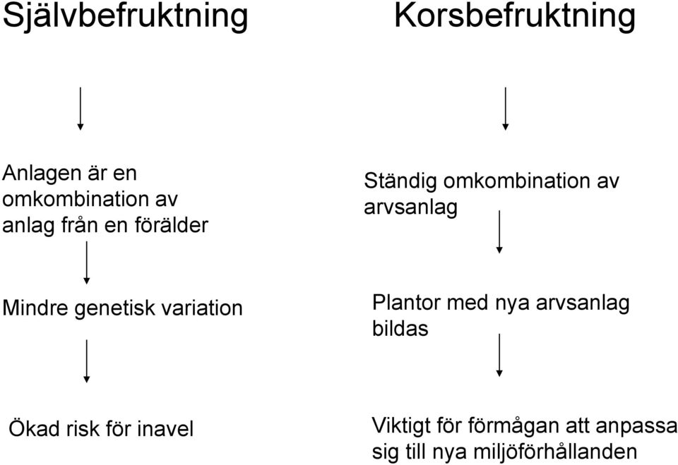 genetisk variation Plantor med nya arvsanlag bildas Ökad risk för