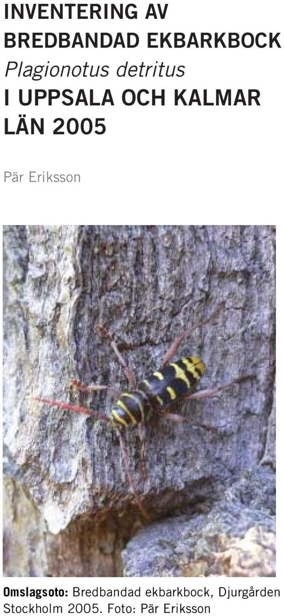 2005 Pär Eriksson Omslagsoto: Bredbandad
